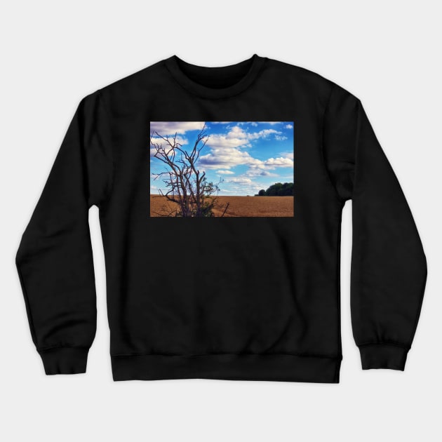 Distant Dreams Crewneck Sweatshirt by InspiraImage